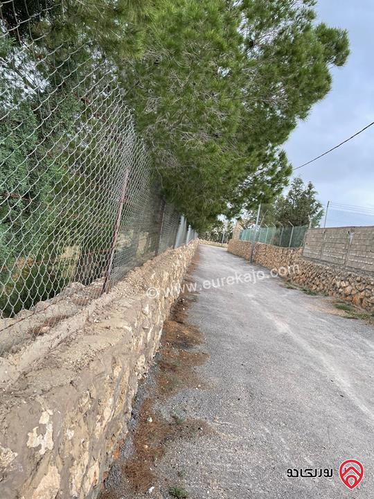 قطعة أرض مميزة مساحة 5 دونم للبيع في عمان - ناعور المشقر