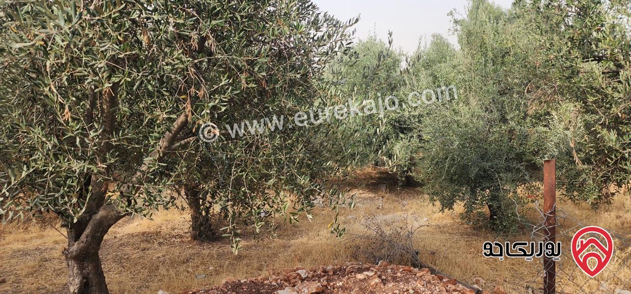 قطعة ارض مساحة 766م للبيع في عمان - البنيات