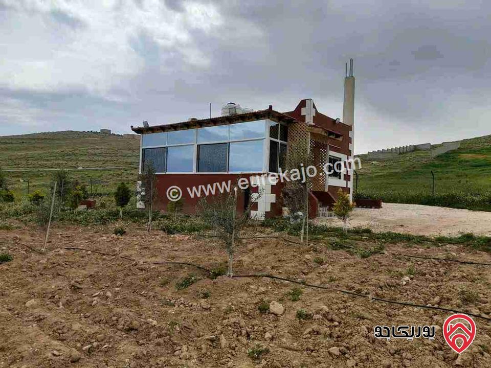 مزرعة مساحة 4 دونم للبيع في المفرق - بلعما 