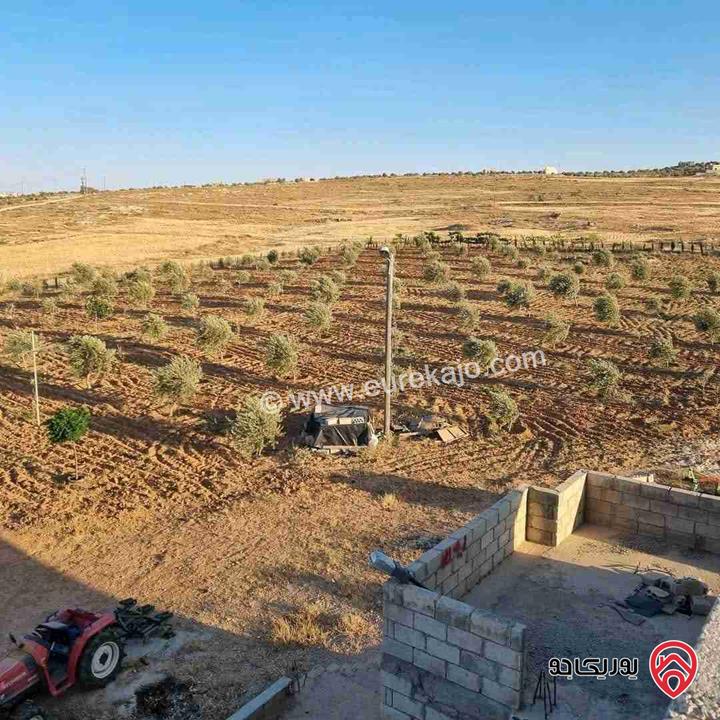 أرض زراعية مساحة 25 دونم للبيع في الكرك - فقوع