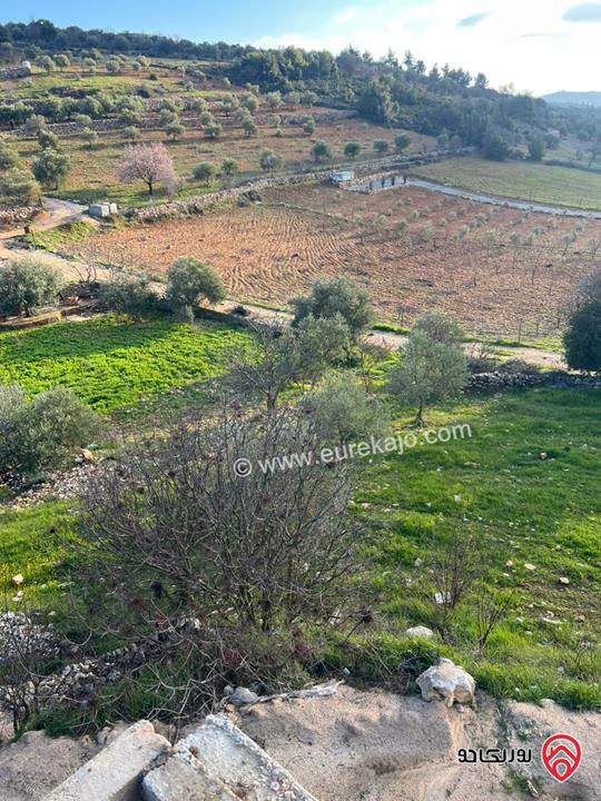 ارض مساحة 1 دونم و 982م للبيع في عجلون عنجرة سرابيس