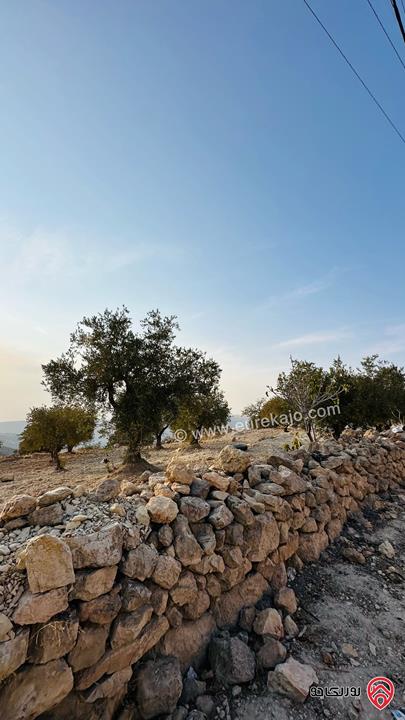 قطعة ارض مساحة 5 دونم و 856م للبيع في منطقة ماحص البلقاء منطقة قصور وفلل بجانب قصر الامير حسين ميرزا اطلالة غربية من المالك مباشرة 