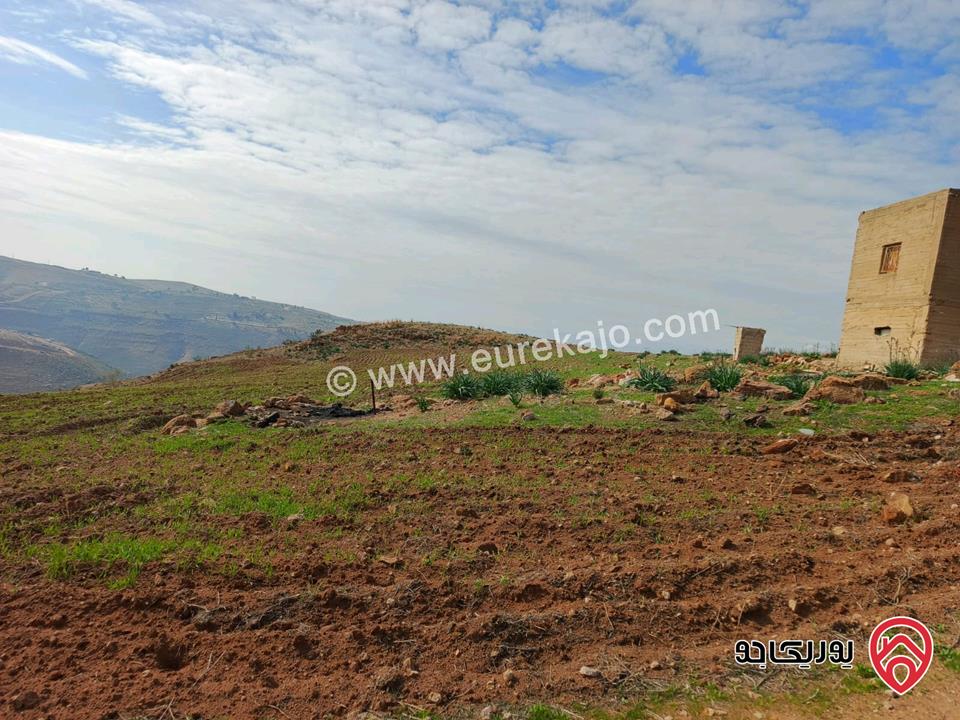 قطعة ارض مستوية مساحتها 3400م قوشان مستقل واصلها شارع ترابي للبيع في السلط الصبيحي - ميسرا  