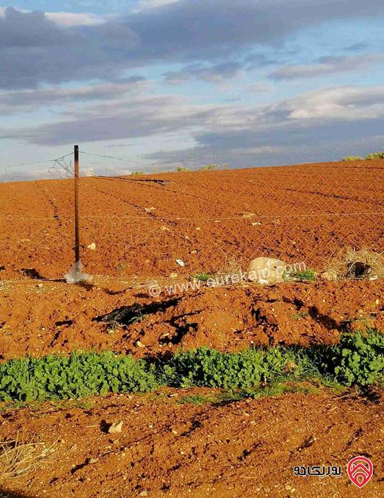 قطعة أرض مساحة 4 دونم و 200م للبيع في اربد - حواره شارع ابو البصل 