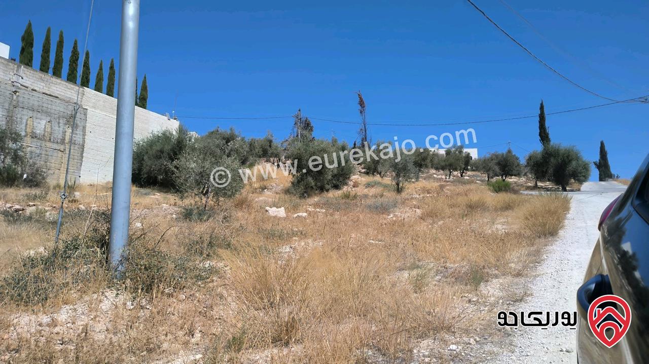 أرض مساحة 2 دونم للبيع من المالك مباشرة في عمان - ناعور