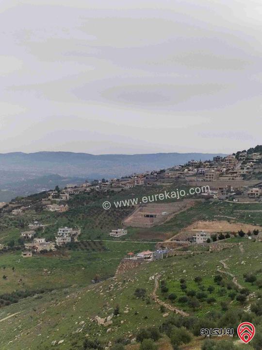 أرض مساحة 4800م للبيع في جرش-المصطبة حوض المنط 