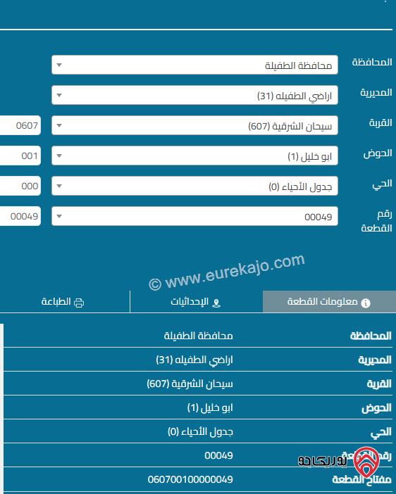 قطعة ارض مساحة 20 دونم للبيع في الطفيلة