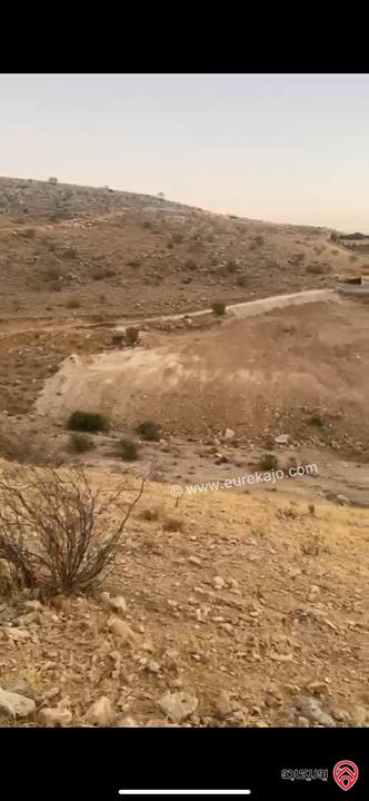 ارض مساحة 3 دونم و 600م للبيع في الزرقاء - السخنة بسعر مغري جداً 