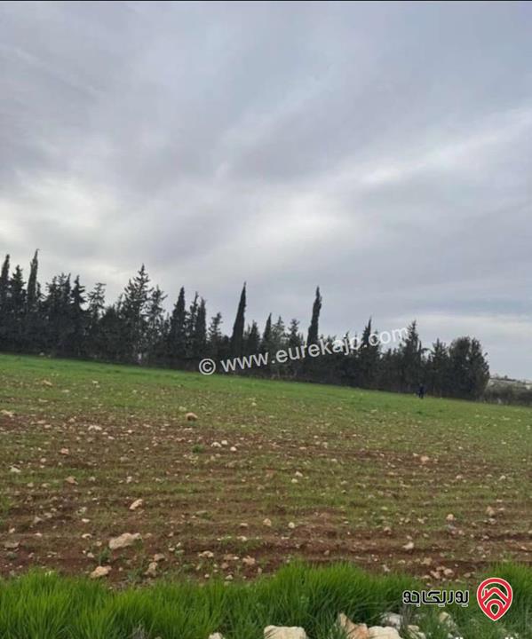 فرصة ممتازة للاستثمار أو السكن الراقي في منطقة مميزة وهادئة. أرض مساحة 2647م للبيع في عمان - ناعور طريق المطار على شارعين