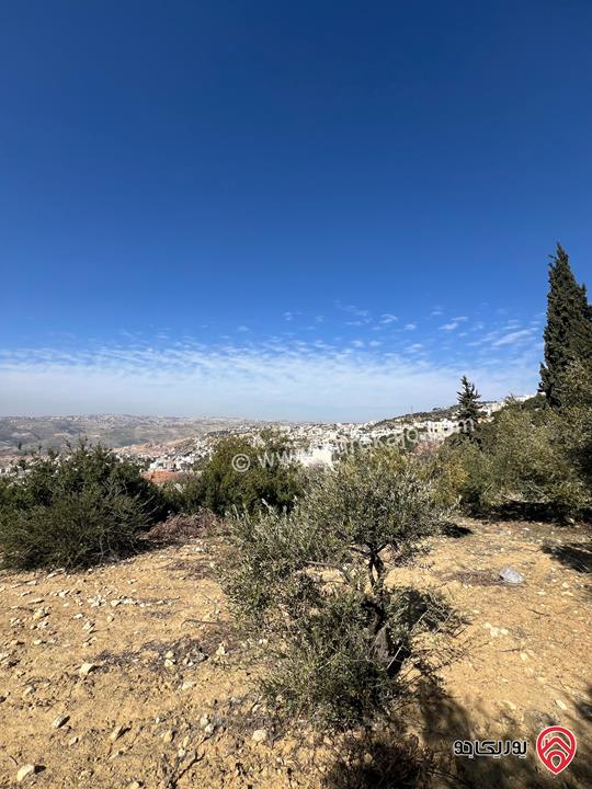 قطعة ارض مساحة 1 دونم للبيع في عمان الغربيه ماحص (بدر الجديده)