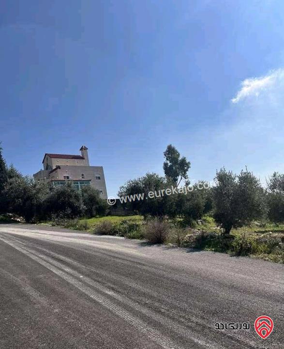 ارض مساحة 1 دونم للبيع في عمان - بدر الجديدة منطقة الكاشف