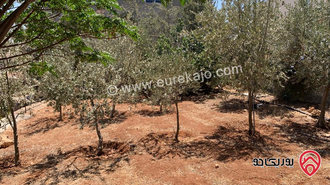 مزرعة مساحة الأرض 2 دونم للبيع بدون منزل في جرش حي الجبارات