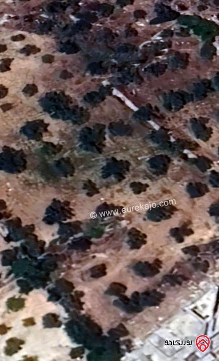 قطعتين أرض مشاع مساحة 950م و 800م للبيع في عمان - بدر الجديدة