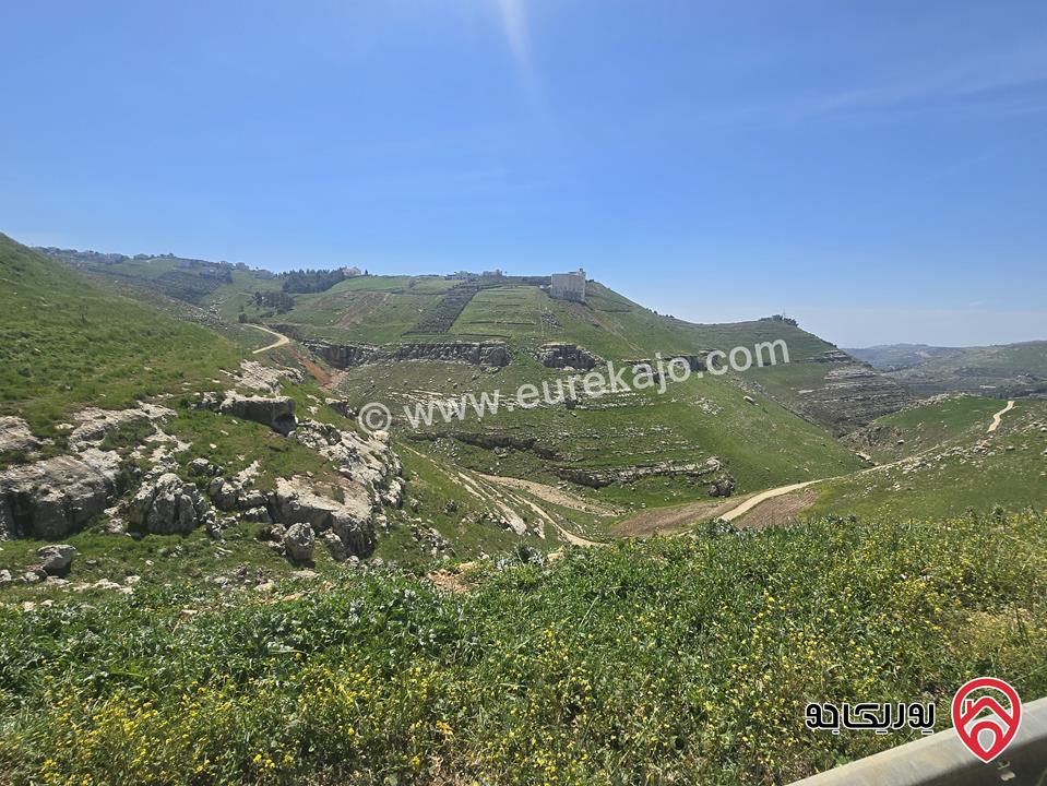 ارض مساحة 5 دونم و 24م للبيع في السلط - أبو طاره