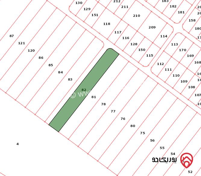 أرض مساحة 5000م للبيع في البحر الميت - السويمة