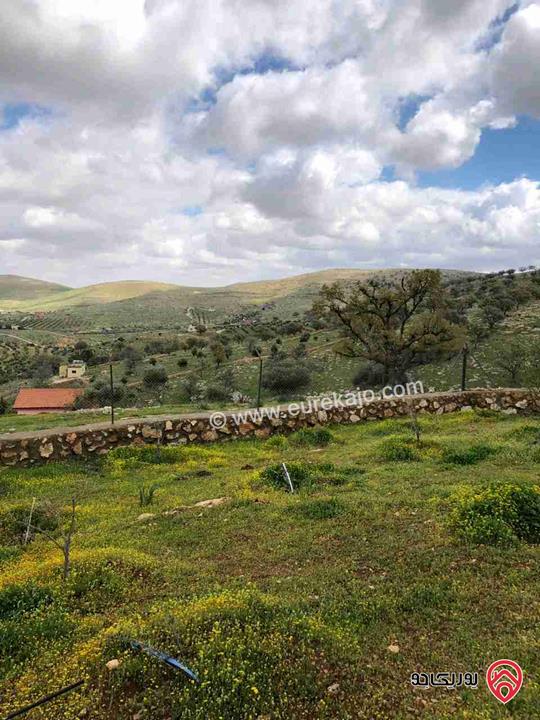 مزرعة مساحة دونم للبيع في الزرقاء - صروت 