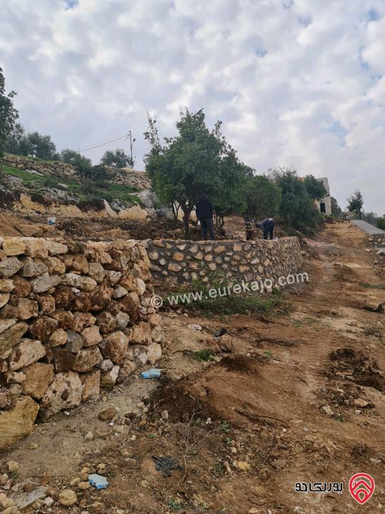 ارض مساحة 1 دونم للبيع في السلط - ام جوزة