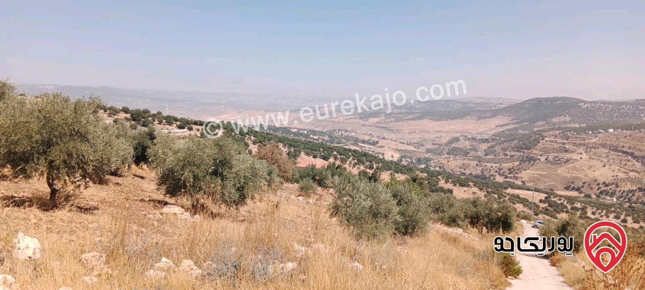 قطع أراضي زراعية مساحة 3 دونم / 4 دونم للبيع في السلط الزعتري سعر الدونم 37 الف