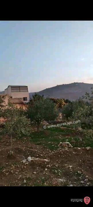 أرض مساحة 546م  للبيع في عمان - ناعور