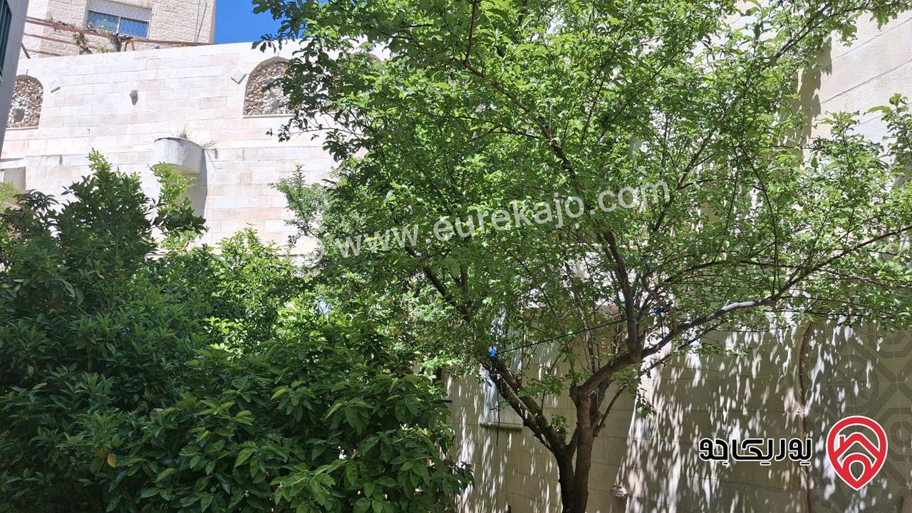 شقة ارضية مساحة 370م مع حديقة للبيع في عمان - تلاع العلي
