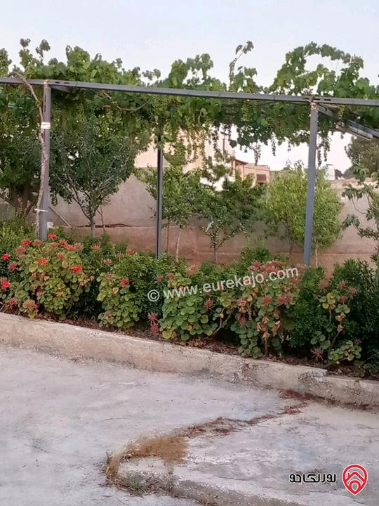 مزرعة مساحة الأرض 618م والبناء 100م للبيع في المفرق