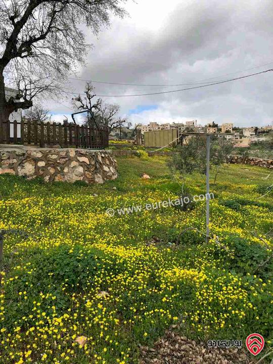 مزرعة مساحة دونم للبيع في الزرقاء - صروت 