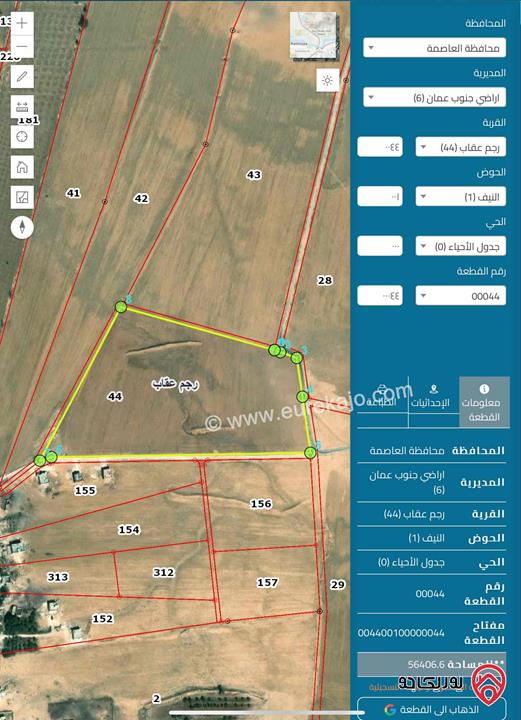 قطعة ارض مساحة 55 دنم للبيع من اراضي جنوب عمان قضاء ام الرصاص رجم عقاب
