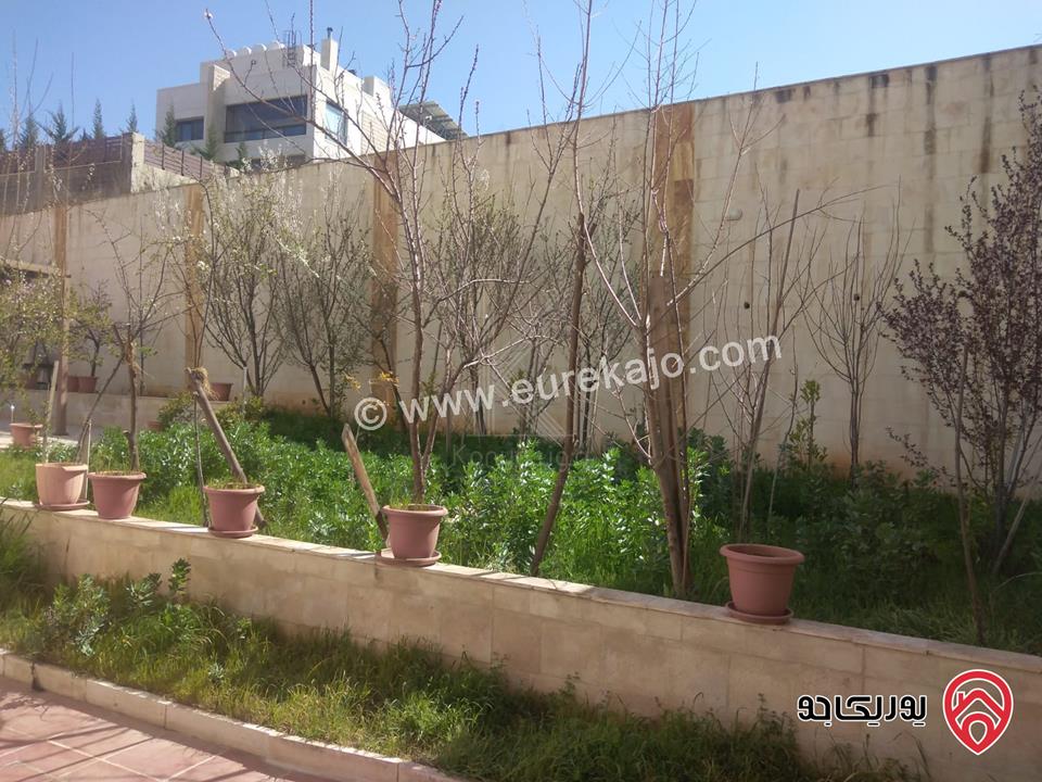 فيلا مستقلة مساحة 1300م على أرض 1051م للبيع أو للايجار في عمان - الجبيهة
