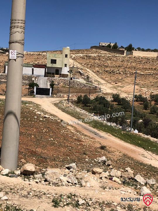 ارض مساحة 4 دونم للبيع في المفرق - بلعما - عين والمعمرية 