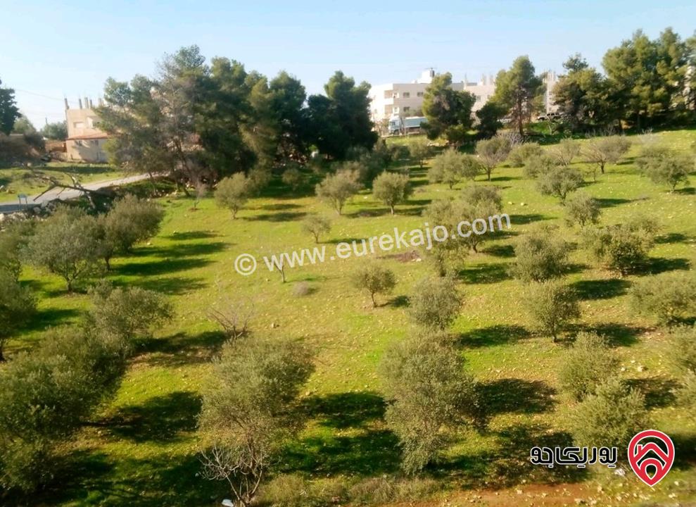 ارض مساحة 1 دونم و 27م للبيع في السلط القسام الغربي بطنا 