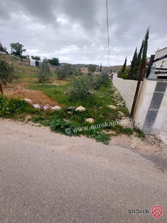 أرض مساحة 1009م للبيع في الزرقاء - بيرين ام البيار 