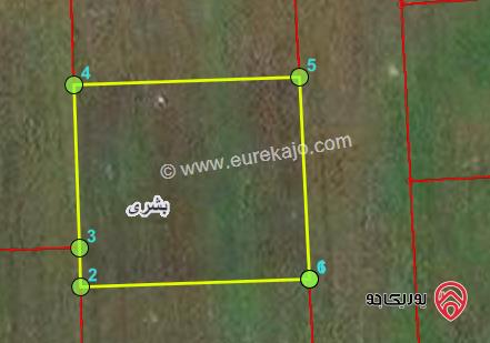 أرض 587م للبيع في اربد - بشرى ضمن حوض المغارة (كاش او اقساط بنفس سعر الكاش) 