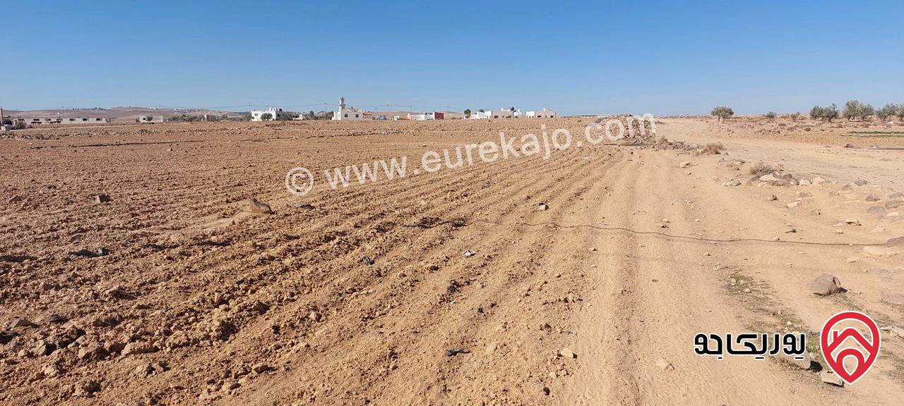 ارض مميزة مساحة 10 دونم و 949م للبيع في منطقة المفرق 