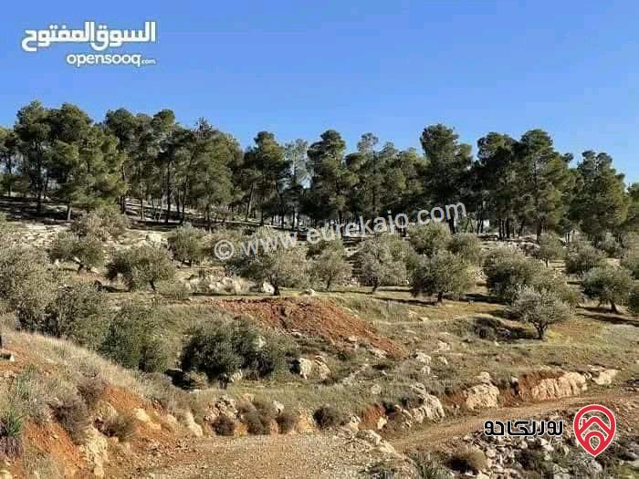 قطعة أرض مساحة 3 دونم و 401م للبيع في جرش - مقبله