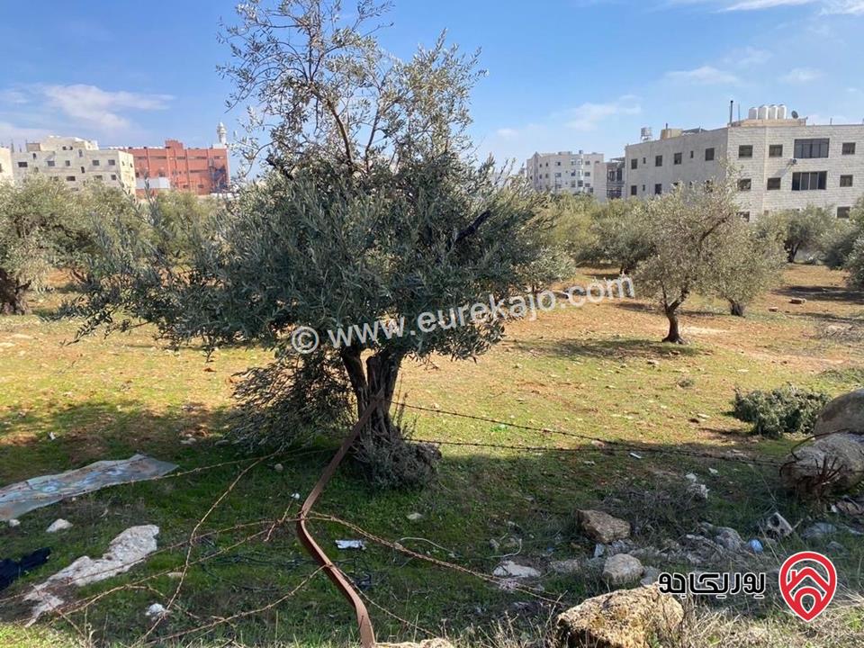 قطعة ارض مساحة 1 دونم و 53م للبيع في عمان - المقابلين ( مرج الحمام الشرقي ) 