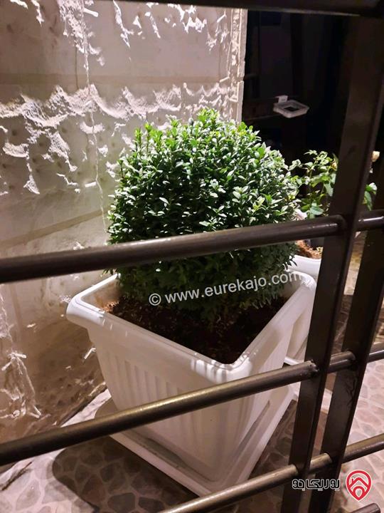 شقة أرضية مساحة 150م داخلي و 70م خارجي للبيع في عمان - ابو نصير