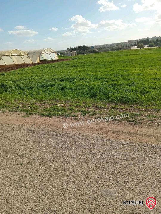 قطعة أرض مساحة 8 دونم للبيع في مادبا - جرينه بالقرب من الجامعة الألمانية