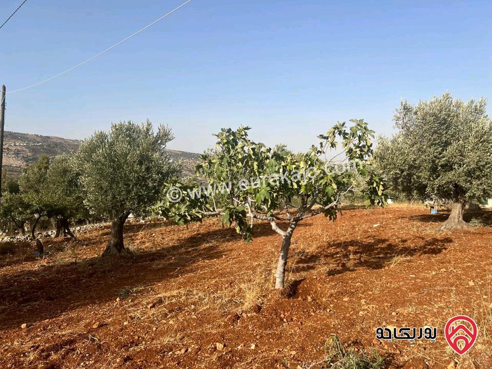 قطعة أرض ريفية مساحة 7 دونم للبيع في في جرش سوف حوض بيدر الحمص 