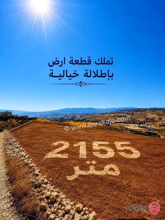 قطعة ارض مشجرة زيتون مساحة 3 دونم و 400م للبيع في جرش - عنيبه 