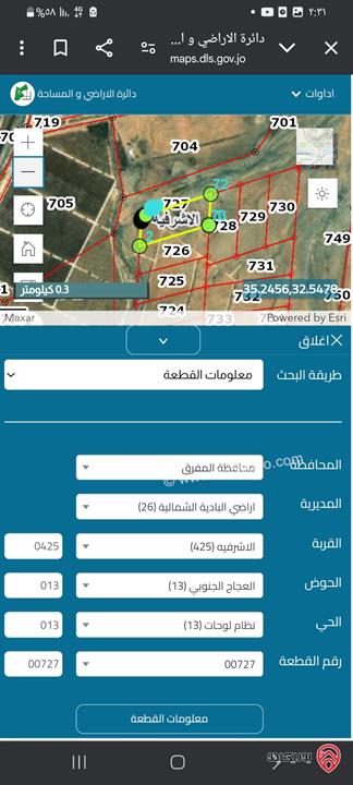 أرض مساحة 10 دونم للبيع في المفرق - الاشرفية سعر الدونم 850 دينار