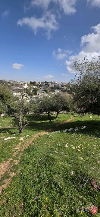 قطعة أرض مساحة 939م للبيع من أراضي غرب عمان - بلال