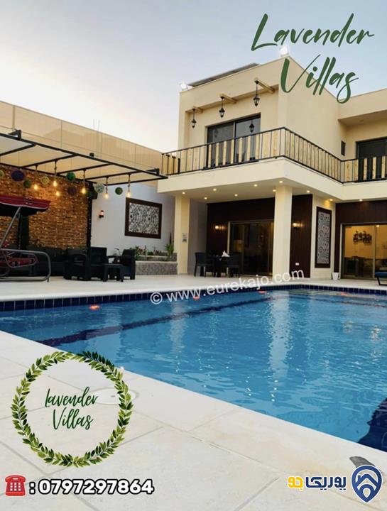 شاليه - مزرعة Lavender Villa Dead sea للايجار اليومي في البحر الميت