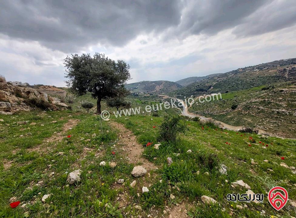  أرض سكنية للبيع في السلط - الجبيل مساحة 1052م (تصنيف أ)