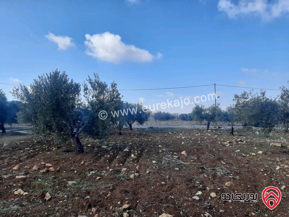 أرض مساحة 1 دونم و 74م للبيع في جرش سلحوب تبعد عن شارع الاردن تقريبا 2 كيلومتر، جميع الخدمات متوفرة ع شارع 12م