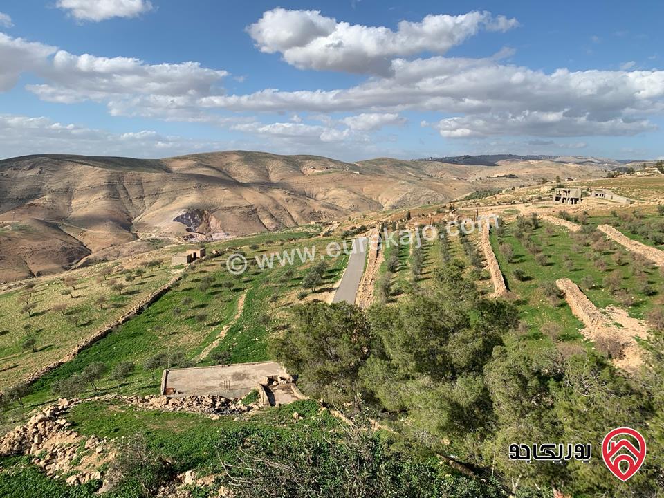 قطعة  أرض مساحة 4 دونم و 254م للبيع من أراضي غرب عمّان/ عراق الأمير من جهة بدر الجديده - مطلة على البحر الميت و القدس الشريف