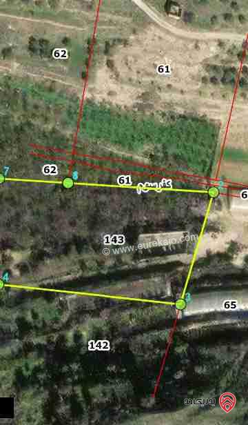 مزرعة مساحة 9 دونم مزروعة رمان و زيتون مرويه من خزان في نفس الارض للبيع في اربد - كفر سوم 