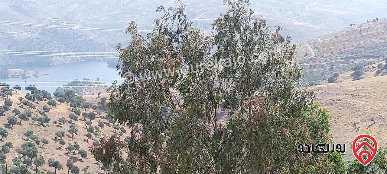 ارض مساحة 2250م تصلح لشاليه خاص للبيع في جرش