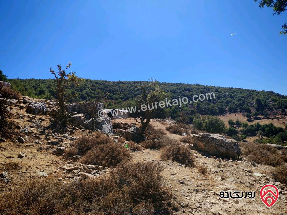 قطعة أرض مساحة 2 دونم و 272م للبيع من أراضي عجلون عين جنا