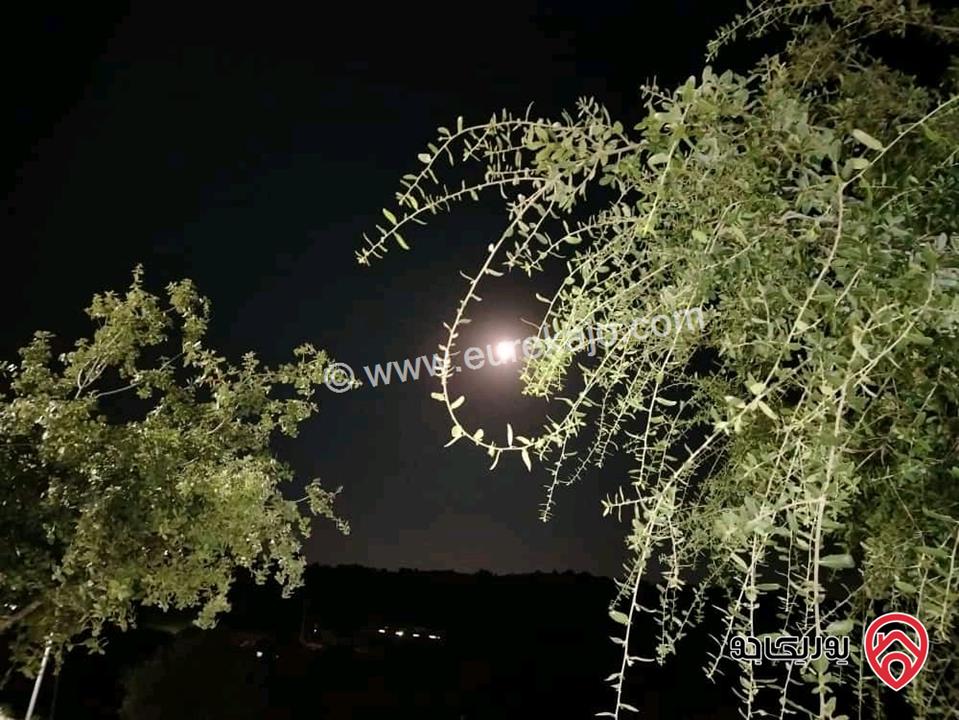 أكواخ وشقق كرم العنب للايجار اليومي في عجلون عبين تبعد 1 كيلومتر عن مثلث عبين تقع على شارع عبين عين جنا 
