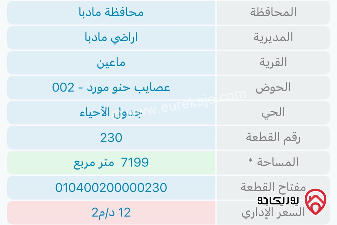 ارض زراعية مشجرة مساحة 7 دونم و 199م للبيع في مادبا طريق ماعين عصايب حنو مورد 
